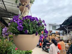 -桂林市花鸟市场