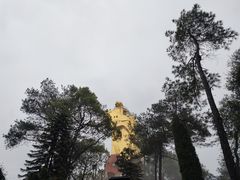 -大金鹰园