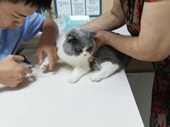 -谐和贝康宠物医院24小时·宠保定点(急重症转诊中心)