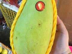 -三亚新鸿港水果一级批发市场