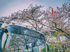 -上海南浦大桥长途旅游客运站