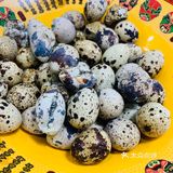 立丰楼上小火锅