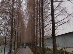 -蜀绣公园