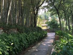 -上海市保健医疗中心(华东疗养院)