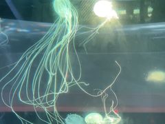 -常州海昌海洋探索馆