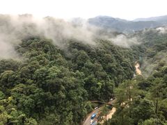 -九龙江国家森林公园