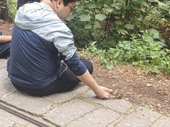 -五营红松林海景区