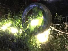 -渭南桃花源民俗文化园