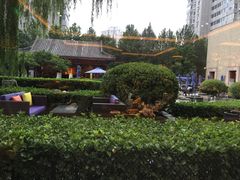 -咖啡CHA自助餐厅(香格里拉饭店)
