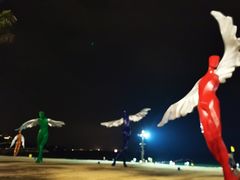 -大梅沙海滨公园