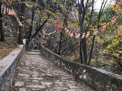 -北京上方山国家森林公园