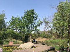 -白鹭湾湿地公园