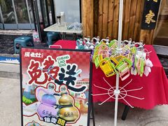 -成老灶火锅鸡(平山店)