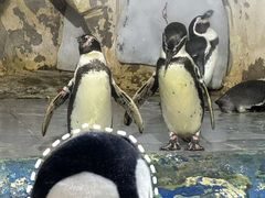 -太平洋海底世界