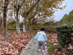 -白塘生态植物园