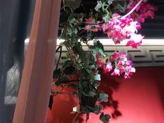 -解家河南菜(金水路店)