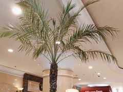 -逸派咖啡 EPARKCOFFEE(广安门店)