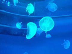 -多彩贵州城极地海洋世界