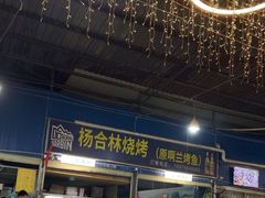 -杨合林啊兰烤鱼