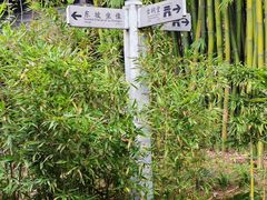 -三苏祠