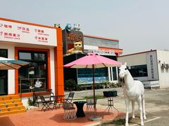 -向外鱼乐·土菜·虹鳟鱼