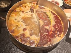 -季季山·云南野生菌火锅(上海首店)
