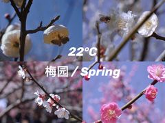 -无锡梅园公园