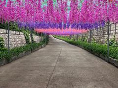 -北京十三陵国家森林公园蟒山景区