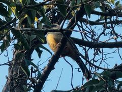 -西安大兴汤院遗址公园