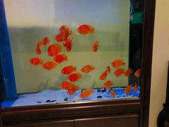 -北纬37°SPA养身会馆(湖西店)