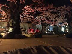 -蓝鲸湾汤泉(包河店)