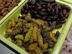 -财主·海鲜锅贴