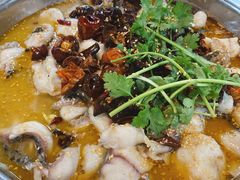 水煮鱼-何哥鲜鱼餐厅(龙湖花园店)