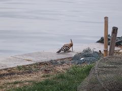 -昆山城市生态森林公园