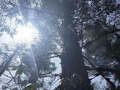 -金堂县云顶石城风景区