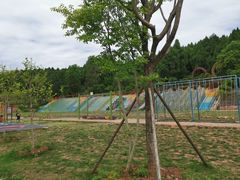 -中国香山·寿香谷