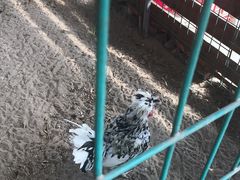 -上海多利农业发展有限公司