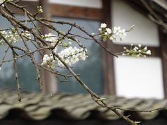 -保利石象湖景区