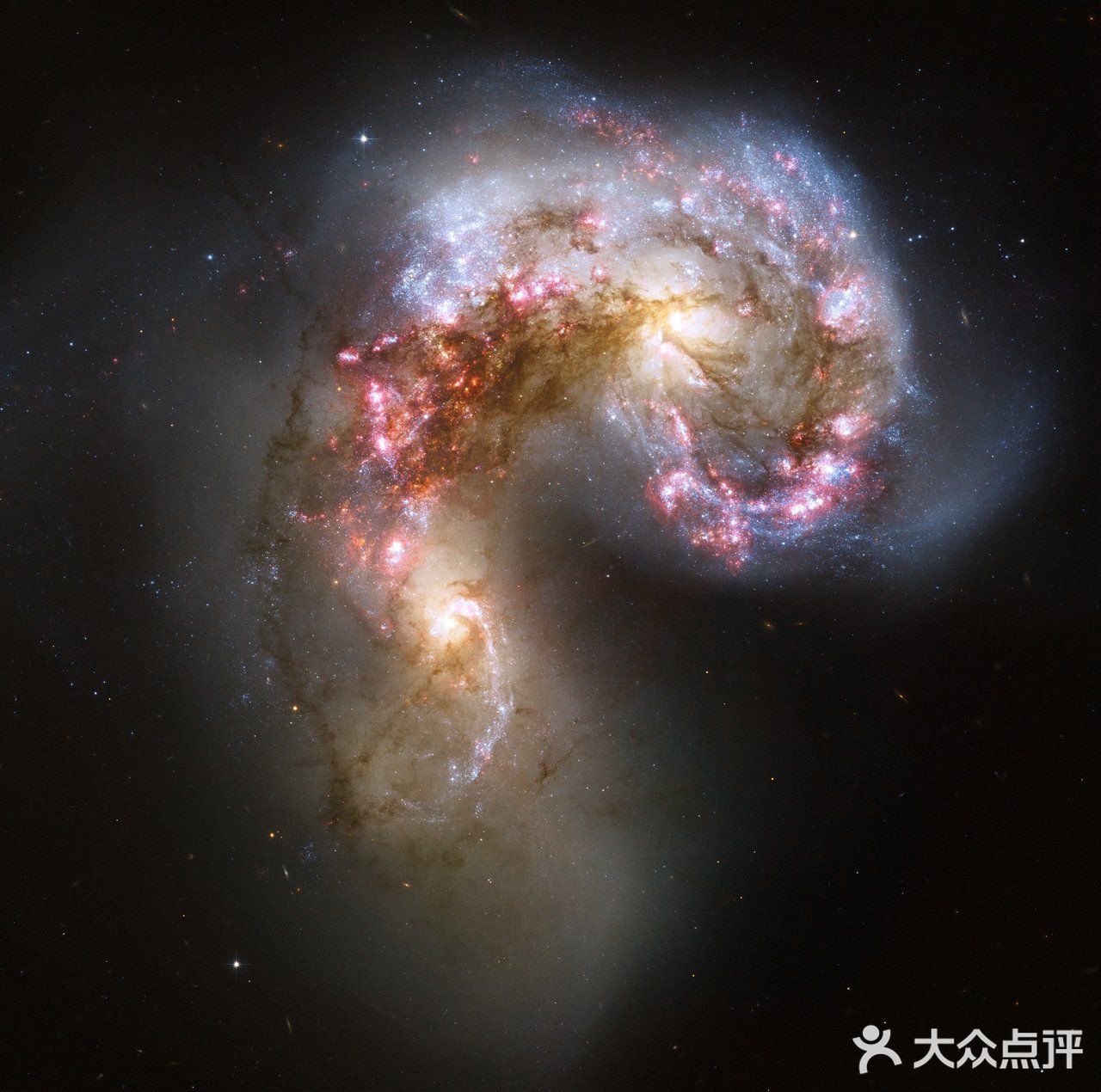 NASA的生日份本命宇宙图太A了