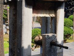 -西安化觉巷清真大寺