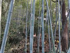 -福道
