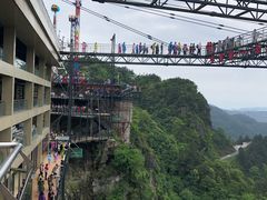 -梦幻奥陶纪景区