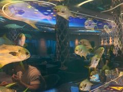 -瑞德姆美人鱼海底演艺主题餐厅(亚龙湾店)