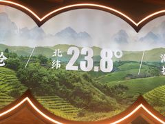 -霸王茶姬(五一路店)