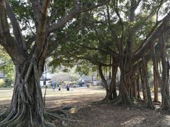 -南沙天后宫景区