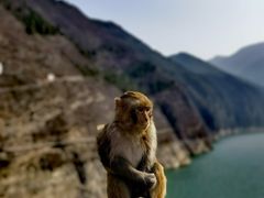 -白帝城·瞿塘峡景区