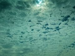 android_upload_pic-苏州河梦清园环保主题公园