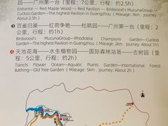 -广州市石门国家森林公园