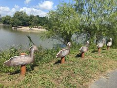 -盐城丹顶鹤湿地生态旅游区