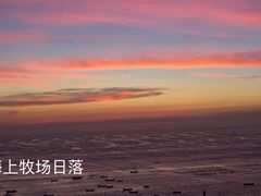 景点-枸杞岛